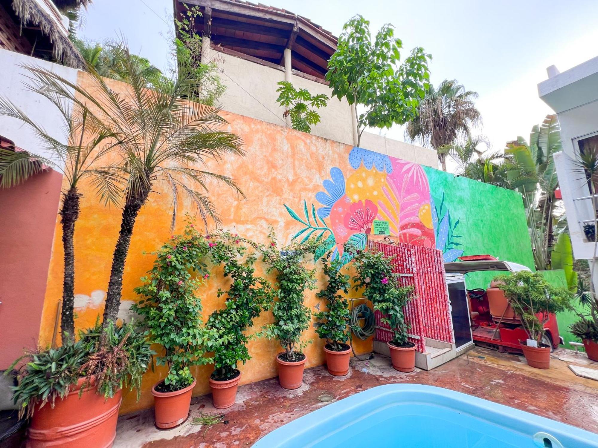Ith Sayulita Amazing Surf Hostel المظهر الخارجي الصورة