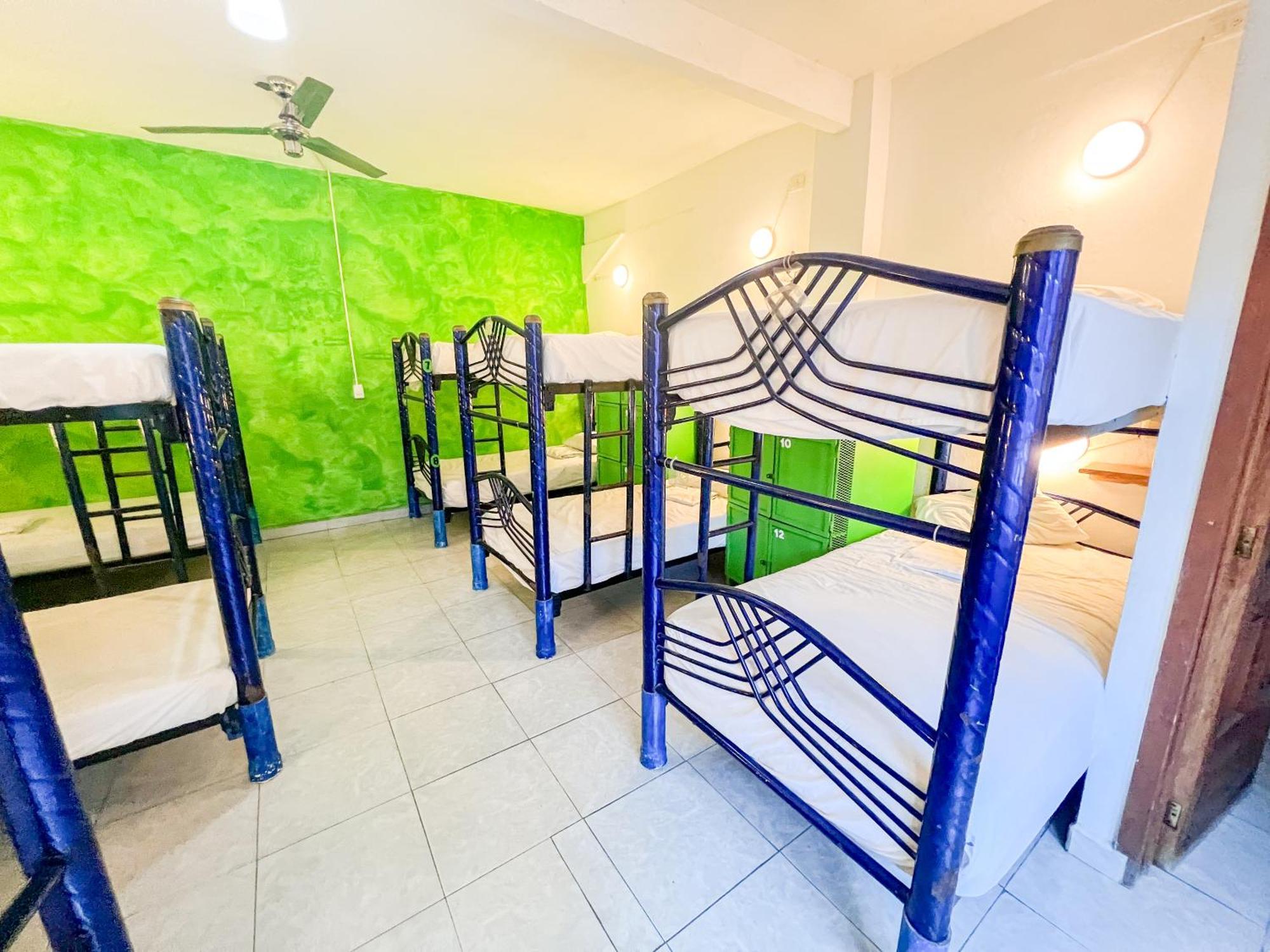 Ith Sayulita Amazing Surf Hostel المظهر الخارجي الصورة